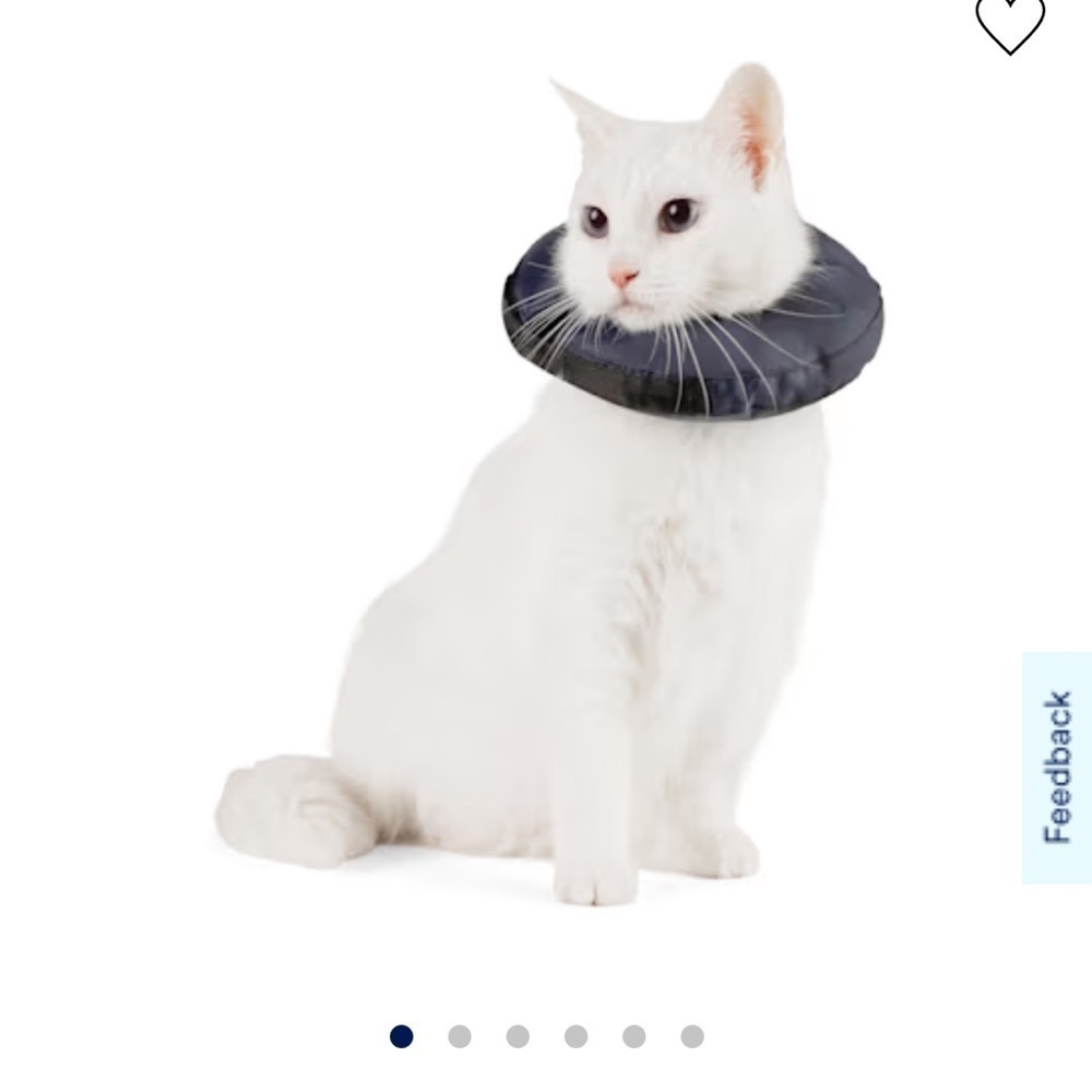 Well & Good Inflatable Recovery Kitten Collar x-small